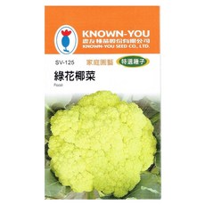 KNOWN-YOU 綠花椰菜種子 家庭園藝特選品種，輕鬆種植，享受田園樂趣, 1個