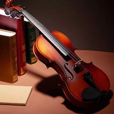 트렌드부스 성인바이올린 케이스 레슨용 악기 초보자, 1개, (클래식 레드)3/4키 140cm 이상