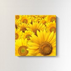 해바라기액자 해바라기그림 풍수액자 돈들어오는그림 가게개업선물 집들이선물, 없음