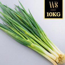 수입산 대파 10kg [ 수입산 신선야채 대용량 업소용 야채 채소 벌크포장 파 식자재 ], 1박스