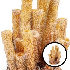 해양산호 모형 해양생물 산호 동물모형 학습완구 교육용 모형완구 생물모형 해양동물 어린이장난감 자연관찰 dda+2227Gv