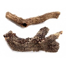 세틀 천연 코르크 튜브 XL 40~80cm / 양서류 파충류 절지류 은신처 사육장, 1개, 자연채집물
