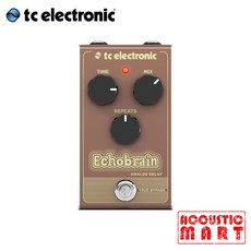 TC Electronic ECHOBRAIN ANALOG DELAY 에코브레인 아날로그 딜레이 이펙터