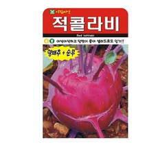 아람종묘 적콜라비 씨앗, 레드콜라비