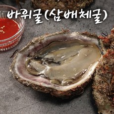 [통영 산지출고] 통영굴 석화 각굴 하프셀 반각굴 찜용굴 구이용 캠핑용 굴 석화회 회 횟감용 통영석화 5kg 10kg, 1개, 9. 삼배체굴 3kg