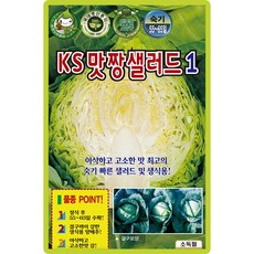 산들마켓 맛짱샐러드1 양배추 씨앗 100립 아삭하고 고소한 최고의 샐러드 생식용 국내산 조생종 고급 품종, 1개