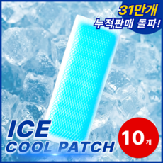 노비에 시원한 붙이는 아이스 쿨패치 쿨팩, 10개