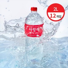 깊은바다 사랑해 해양심층수 경도300, 2L, 12개
