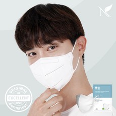 내추럴키스 순수아띠 KF80 숨쉬기편한 새부리형 마스크, 10개입, 5세트, [KF80] 대형, 화이트