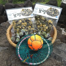 제주도 해녀채취 보말 보말살 순살, 1개, 200g