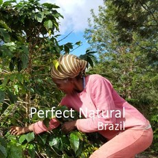 [위트러스트] 브라질 퍼펙트 내추럴 200g Brazil 스페셜티 커피, 홀빈, 1개
