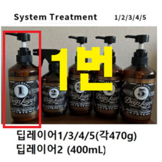 딥레이어 시스템 트리트먼트 1 2 3 4 5 본체 (옵션확인), 1개, 1R