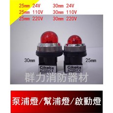 群力消防器材 泵浦燈 指示燈 - 24V 110V 220V 25mm 30mm (含稅), 1個, E10(LED)燈泡24V
