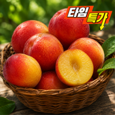 [타임특가] 산지직송 자두꾼 명품대과 후무사자두, 1박스, 1kg