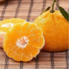 [한정수량특가]과즙듬뿍 신선가득 농가선별 제주 한라봉, 1박스, 2kg (특대과)
