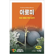 더드림 애플수박씨앗 아로미 10립, 1개