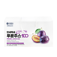 연세생활건강 연세백세 진짜 맛있는 푸룬주스 100 30p, 2.1L, 1개