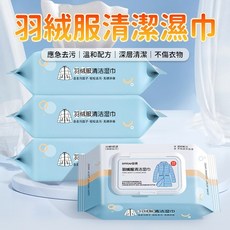 羽絨衣清潔濕巾 溫和配方 深層清潔 不傷衣物, 1個, 單包