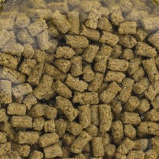 데일리온 크러스트 50g 갑각류용 가재사료