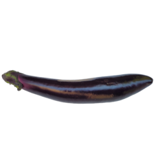 야채왕 가지 2개/10개 수량별, 가지 2개