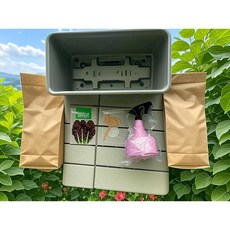 반려식묘 상추 밀키트 베란다 텃밭 화분 분무기 흙 씨앗(국내산) 팻말 마사토 배양토4L 모두 포함, 1개, 검은색