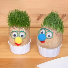 공기정화 자연가습 원예 잔디인형 (어린이EQ교육용)