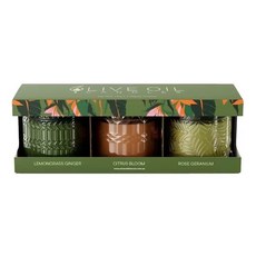Olive Oil 香氛蠟燭禮盒 210公克 X 3件組