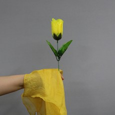 컬러체인지 로즈 (빨간장미를 노란장미로 바꾸실 수 있습니다.), 1개