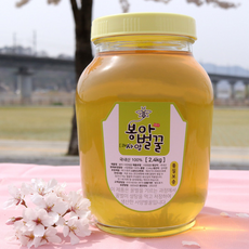 봉아 국내산 사양벌꿀, 2.4kg, 1개