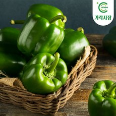 [온도씨]가락시장 당일경매 청피망 500g, 1개
