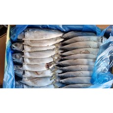 국산 자반고등어 10~12마리 파지 못난이 흠집고등어, 1개, 2kg~3.5kg