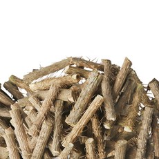 동의한재 최상품 국산 가시오가피 가시오갈피, 300g, 1개