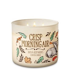Bath & Body Works 香氛蠟燭 - Crisp Morning Air 清脆清晨空氣, 1個