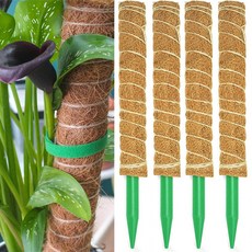 글로우바이 썩지않는 플라스틱 수태봉 코코봉 식물지지대 52cm, 4개