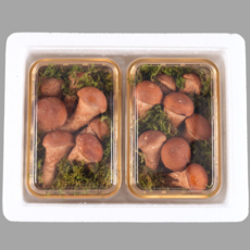 천지고 국내산 참송이버섯 특선 선물세트, 1개, 2구 생물 400g