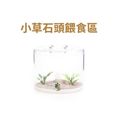 螞蟻帝國 小草石頭餵食區 (圓桶小型) 取蓋式高透塑膠 #蟻巢 #養螞蟻 #螞蟻窩 新版上蓋, 1個