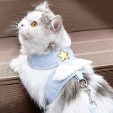 반려동물 천사 하네스+리드줄(XL)반려묘 반려견하네스aja4+8qry