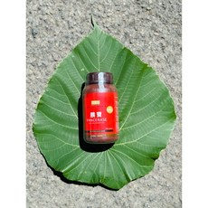 賽恩威特 Scienvet 胰寶 犬貓專用消化酵素, 1個, 胰寶500顆 2027/9（送小禮物）