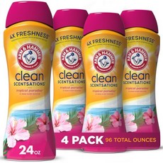 암앤해머 인워시 향 부스터 트로피컬 파라다이스 24온스 4팩, 24 Ounce (Pack of 4)