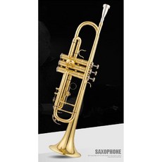 입문용트럼펫 케이스 세트 악기 트럼팻 관악기 금관 연습용 초보자 취미 연습 나팔 동아리 소형, F. 강화_모넬 피스톤, 1개