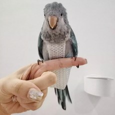 軟蝟甲金屬編織 透氣鸚鵡尿布 立體可調節肩帶 大容量屎兜, 1個, 網格款,凱克型號