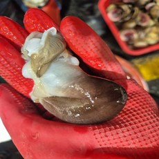 여수 특품 손질 새조개 손질후 200g 내외 15-20개내외, 1개, 새조개200g