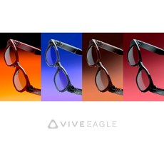 HTC VIVE EAGLE (全新未拆/台灣原廠公司貨), 灰色(尺寸L)