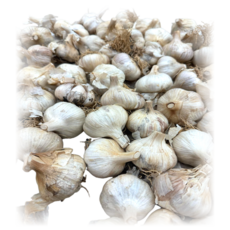 국내산 햇 남도마늘(양념용 매운 마늘) 1개, 1박스, 2.5kg-중