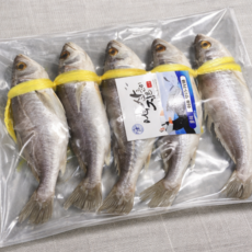 전통 민어조기 굴비 5마리 1.5~2kg 생선선물세트 건강한 밥상 캠핑반찬 명절 집에서 즐기는 프리미엄 생선, 1.5~2kg 내외(5마리), 1박스