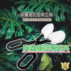蜥蜴/守宮/蜘蛛適用, 1個, 爬蟲餵食專用夾