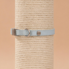 오미드 강아지 목줄 중형견 소형견 부드러운 산책 데이지 워키 목줄 액상실리콘 재질 방수 목줄, 1개, 블루그린 배색 (목줄)