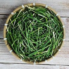 하라네 사천 햇 노지 두벌 부추 털이부추 정구지, 1개, 500g