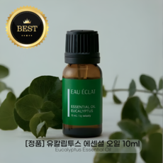 [정품] [Md/Pick] 천연 아로마 스트레스완화 유칼립투스 에센셜 오일 10ml, 1개