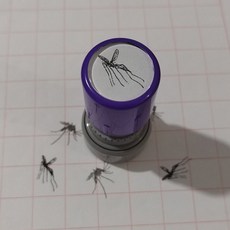 모기 스탬프 장난감 도장, 3. 죽은 모기 스탬프